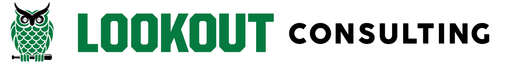 Lookout Consulting Banner